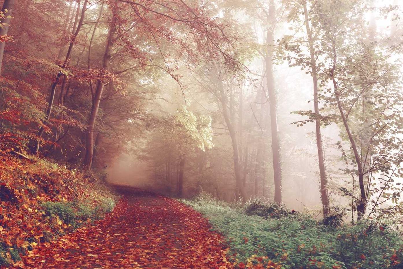 Nisi dolorem voluptatem sed totam ut tempore quis magnam