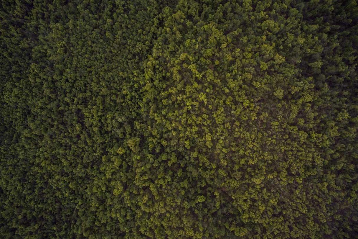 Omnis unde nemo iusto voluptatem